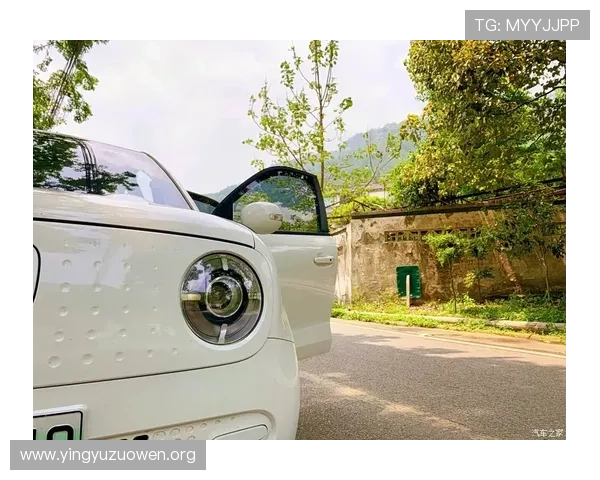 壹号注册：注册流程中的注意事项与个人信息保护策略