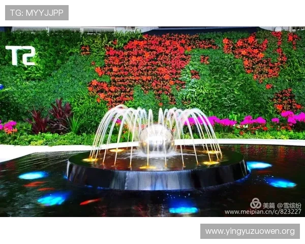 畅游壹号国际app官网入口，体验极致的用户友好界面